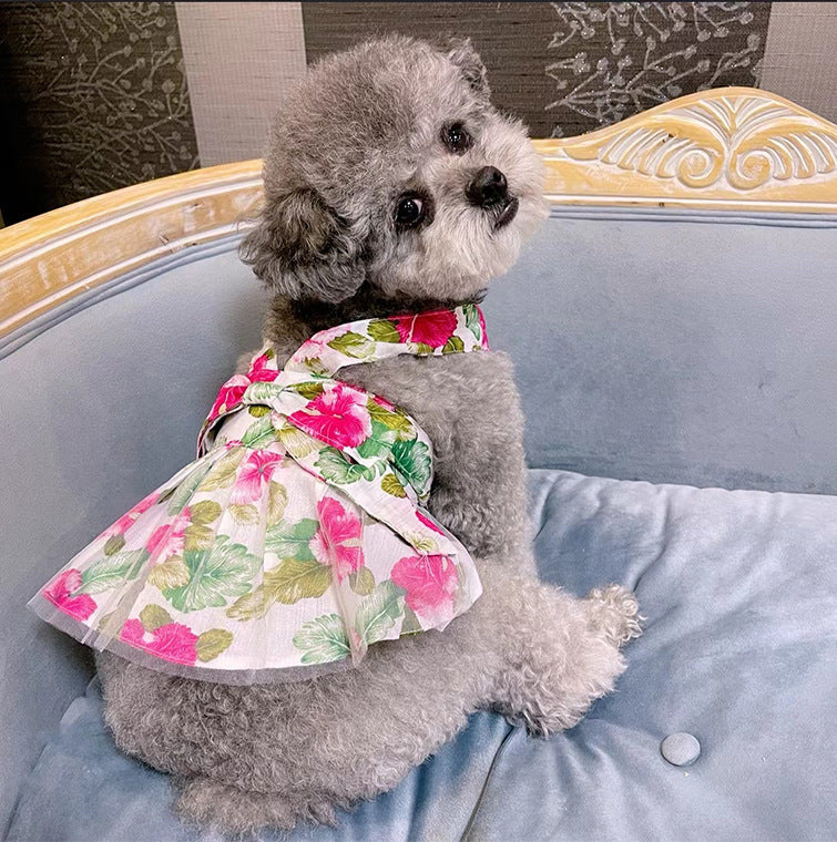 Cotton Ultra-thin Fashion Teddy Hair Bucket Universal Lady's Ultra-thin Princess Cat And Dog Skirt