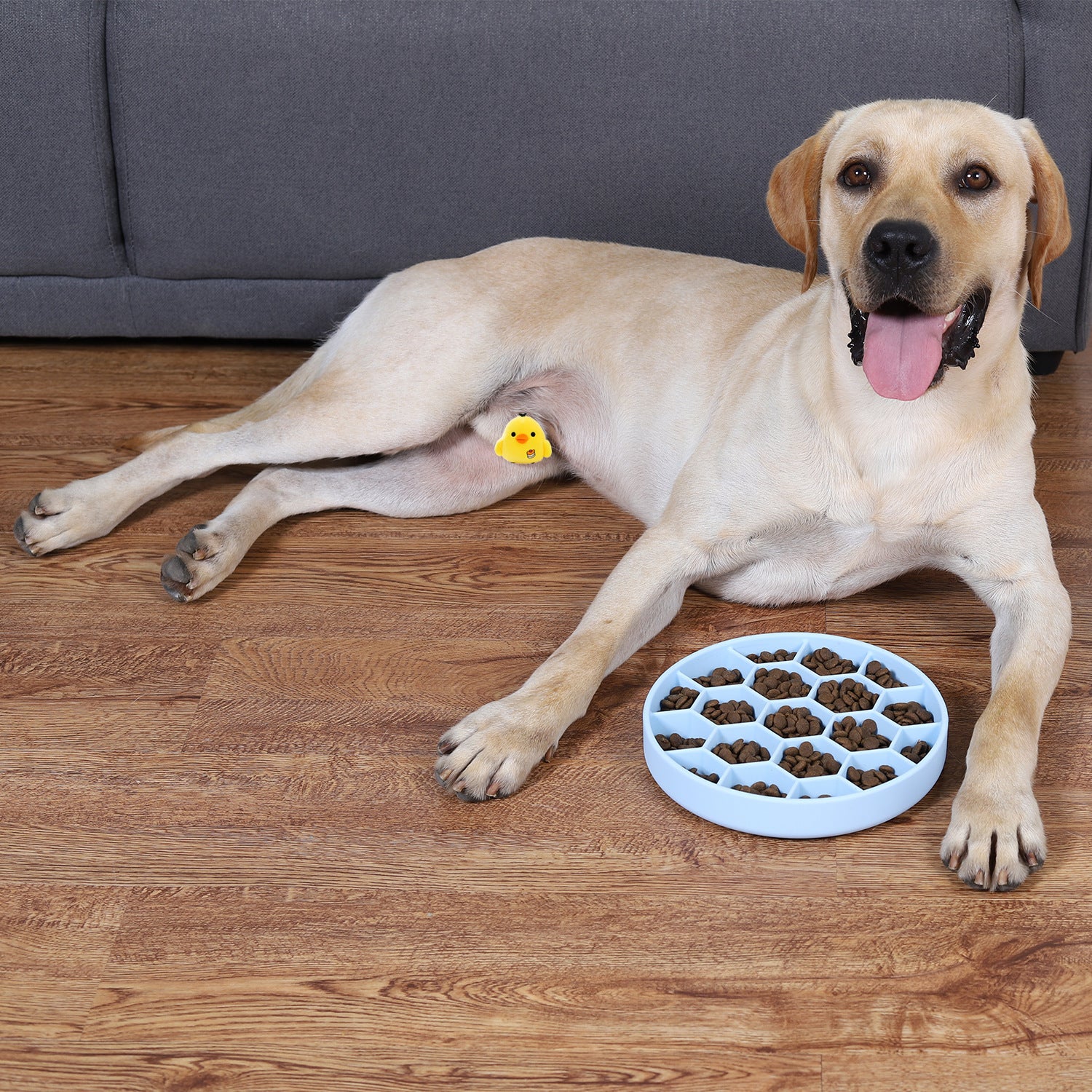 Honeycomb Pet Slow Food Bowl