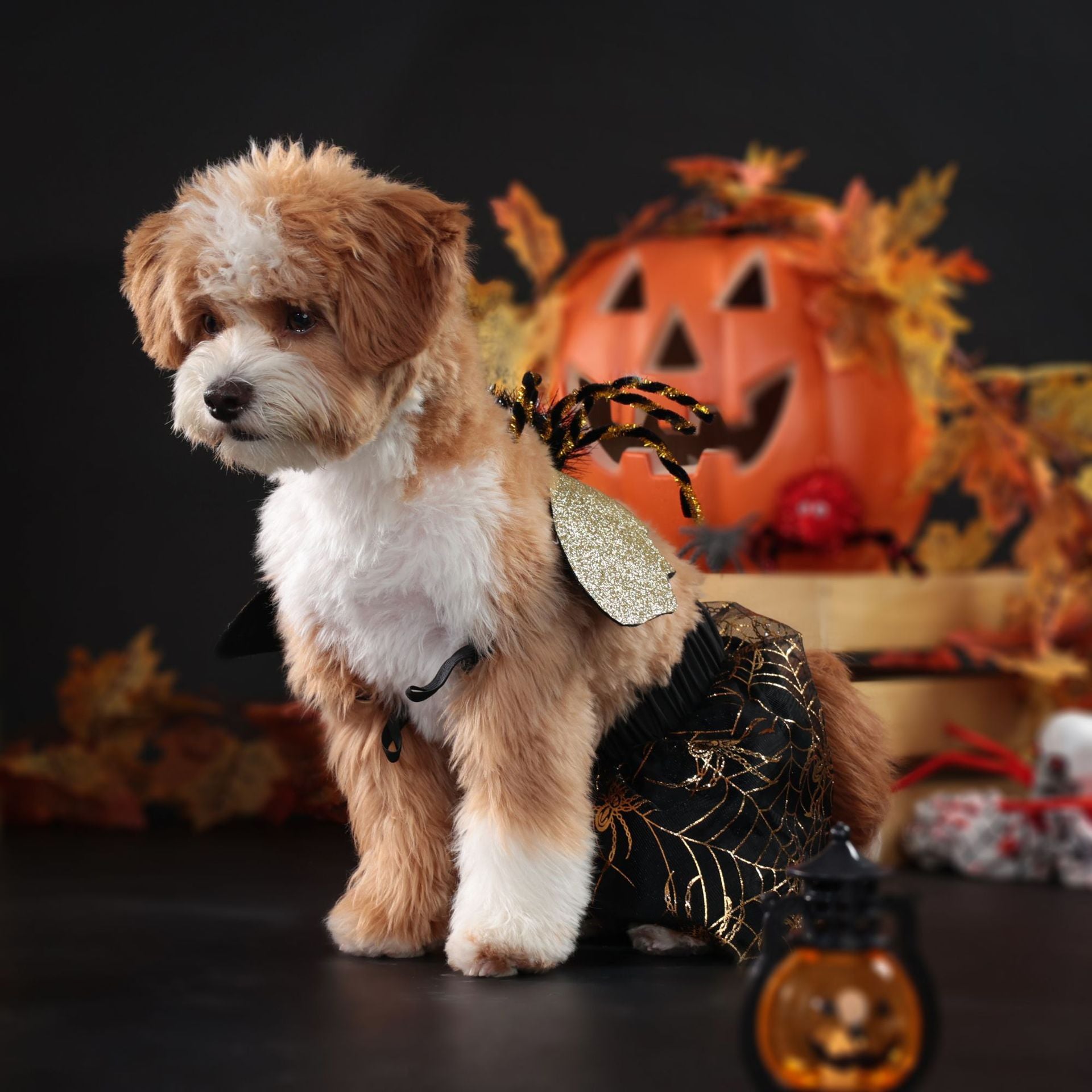 Pet Clothes Clothes Halloween Party Dog Suit